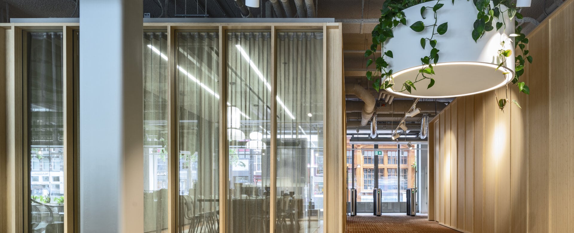 Special | BounceBox | Plan Effect